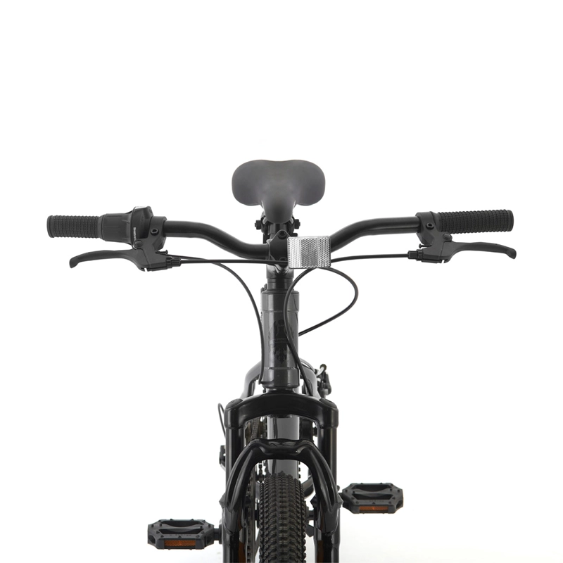 BICICLETA INFANTIL BIANCHI WOLF ARO 20 - 3