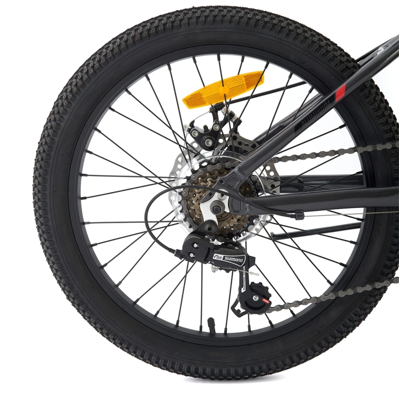 BICICLETA INFANTIL BIANCHI WOLF ARO 20 - 5