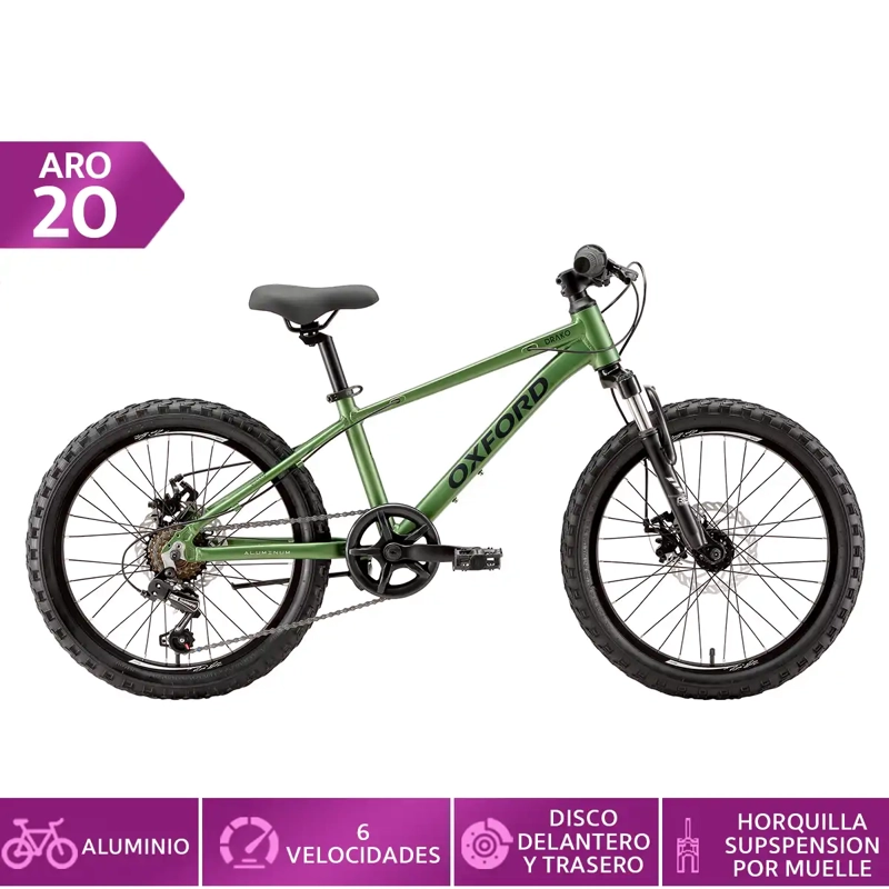 BICICLETA OXFORD DRAKO SUSPENSIÓN ARO 20 6 VELOCIDADES VERDE - 1