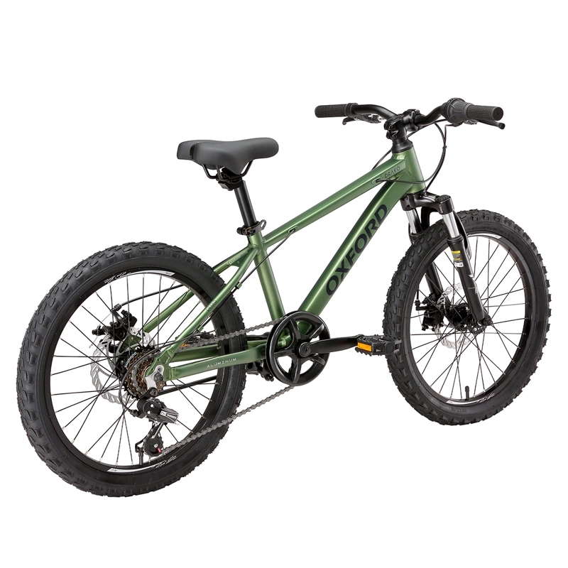 BICICLETA OXFORD DRAKO SUSPENSIÓN ARO 20 6 VELOCIDADES VERDE - 4