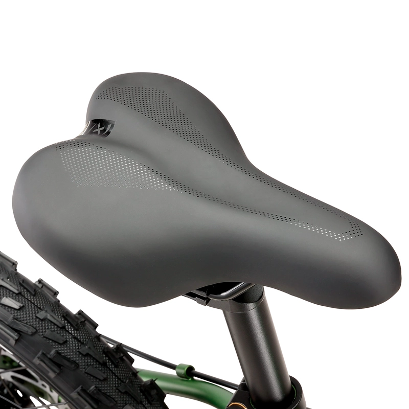 BICICLETA OXFORD DRAKO SUSPENSIÓN ARO 20 6 VELOCIDADES VERDE - 7