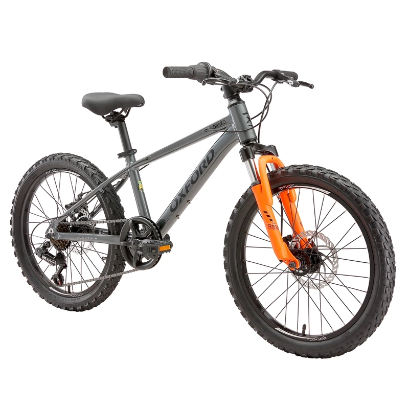 BICICLETA OXFORD DRAKO SUSPENSIÓN ARO 20 6 VELOCIDADES GRAFITO - 2