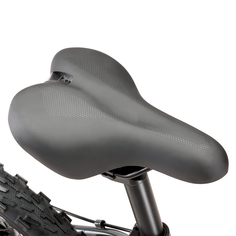 BICICLETA OXFORD DRAKO SUSPENSIÓN ARO 20 6 VELOCIDADES GRAFITO - 7