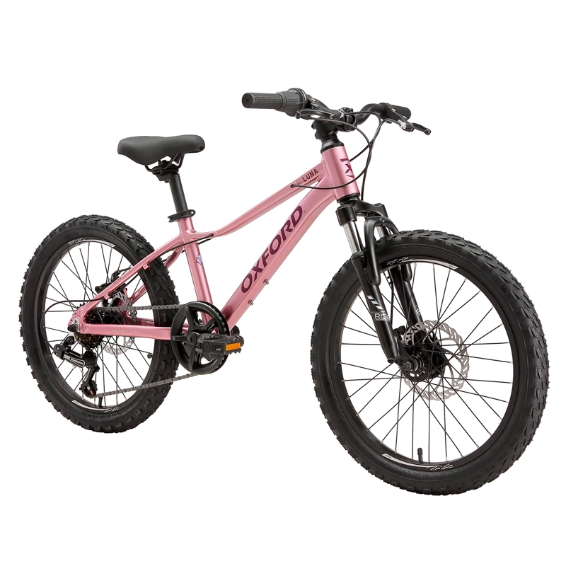 BICICLETA OXFORD LUNA SUSPENSIÓN ARO 20 6 VELOCIDADES ROSADO - 2