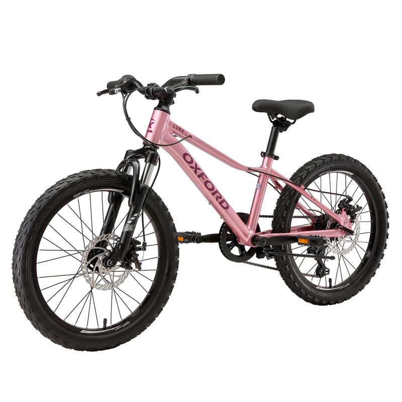 BICICLETA OXFORD LUNA SUSPENSIÓN ARO 20 6 VELOCIDADES ROSADO - 3