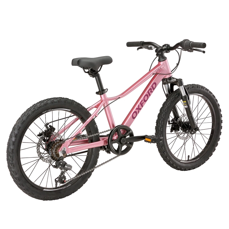 BICICLETA OXFORD LUNA SUSPENSIÓN ARO 20 6 VELOCIDADES ROSADO - 4