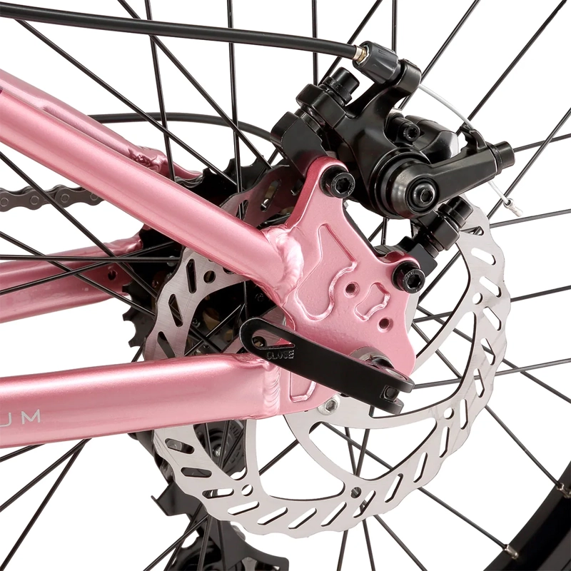 BICICLETA OXFORD LUNA SUSPENSIÓN ARO 20 6 VELOCIDADES ROSADO - 5