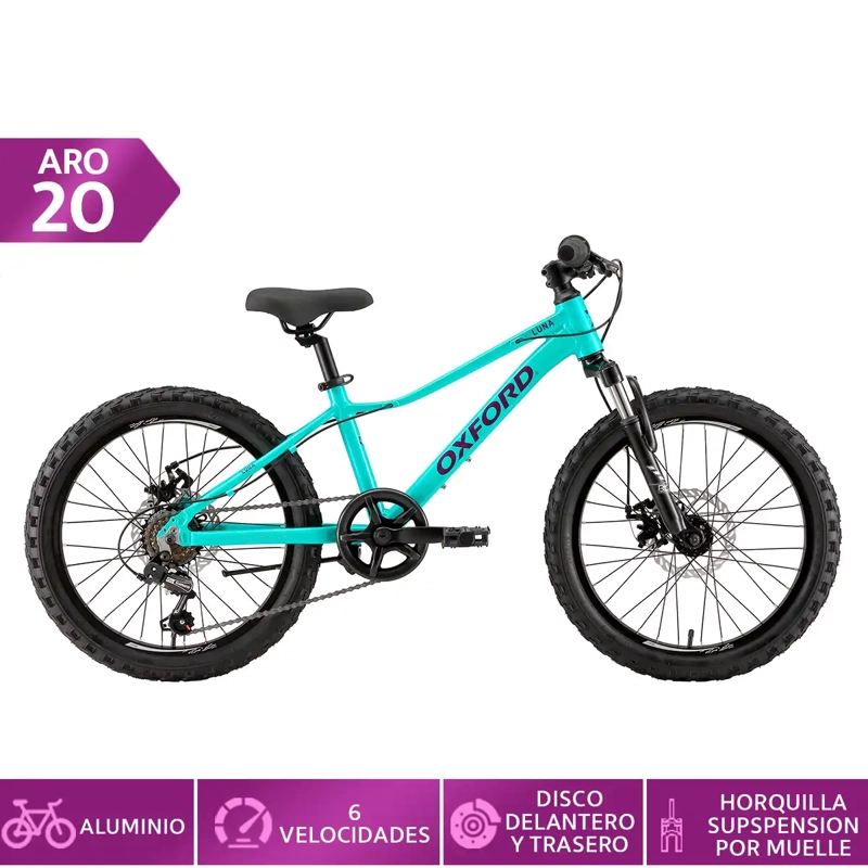 BICICLETA OXFORD LUNA SUSPENSIÓN ARO 20 6 VELOCIDADES VERDE - 1