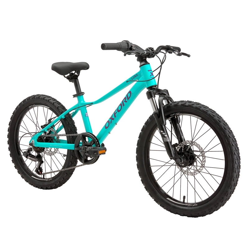 BICICLETA OXFORD LUNA SUSPENSIÓN ARO 20 6 VELOCIDADES VERDE - 2