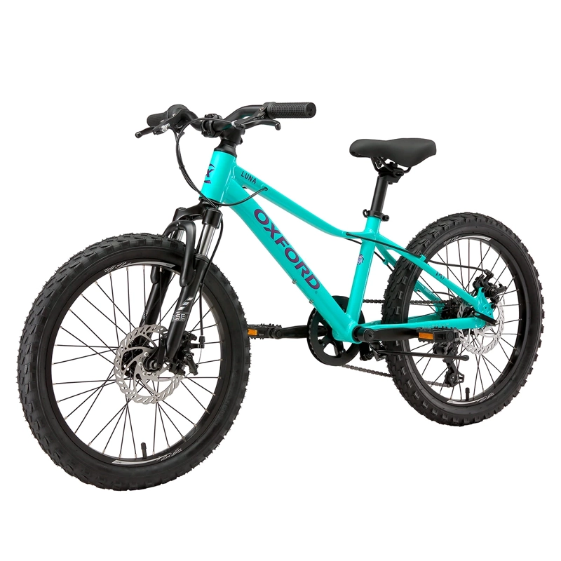 BICICLETA OXFORD LUNA SUSPENSIÓN ARO 20 6 VELOCIDADES VERDE - 3