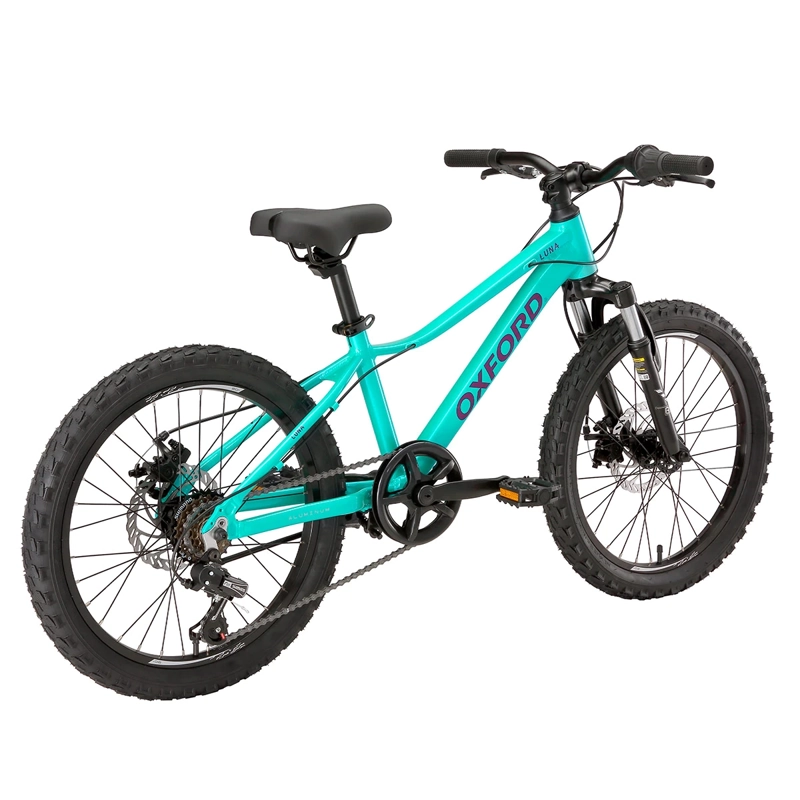 BICICLETA OXFORD LUNA SUSPENSIÓN ARO 20 6 VELOCIDADES VERDE - 4