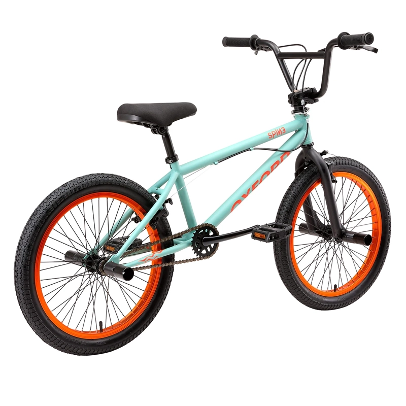 BICICLETA OXFORD SPINE ARO 20 1 VELOCIDAD VERDE - 4