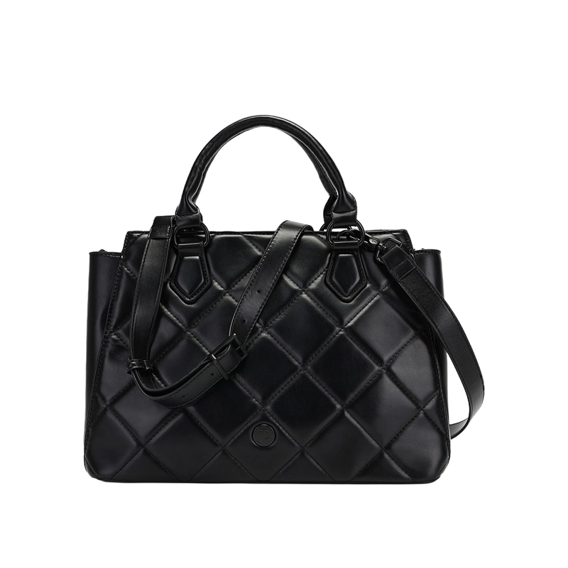 CARTERA POLLINI PIACENZA - 2