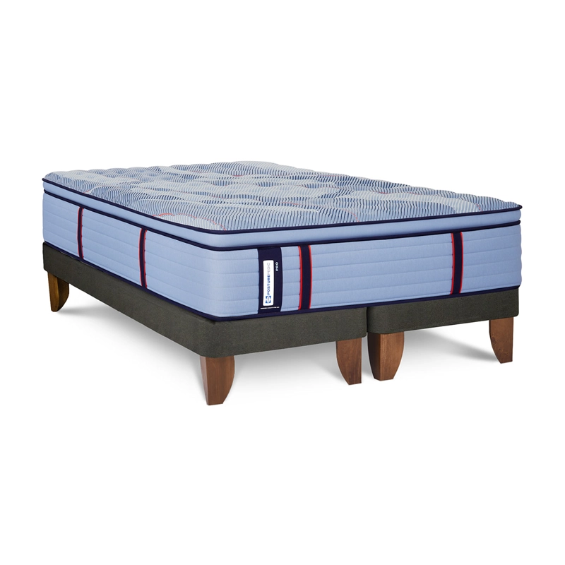 CAMA EUROPEA SEALY POSTUREPEDIC PRO 2 PLAZAS - 2