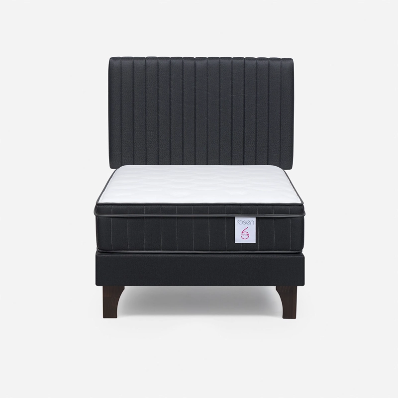 CAMA EUROPEA ROSEN NEW STYLE 6 PLUS 1.5 PLAZAS + RESPALDO LUCIO - 1