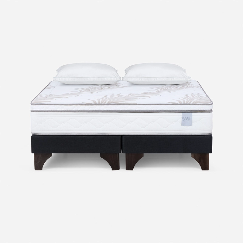 CAMA EUROPEA ROSEN NEO PLUS BASE DIVIDIDA 2 PLAZAS + 2 ALMOHADAS FEEL - 1
