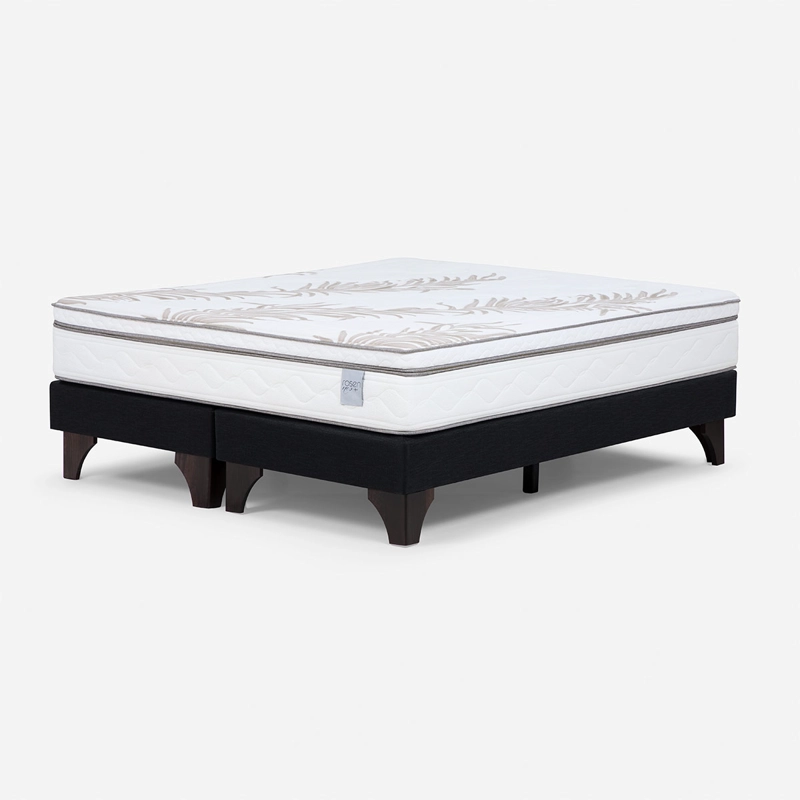 CAMA EUROPEA ROSEN NEO PLUS BASE DIVIDIDA 2 PLAZAS + 2 ALMOHADAS FEEL - 2