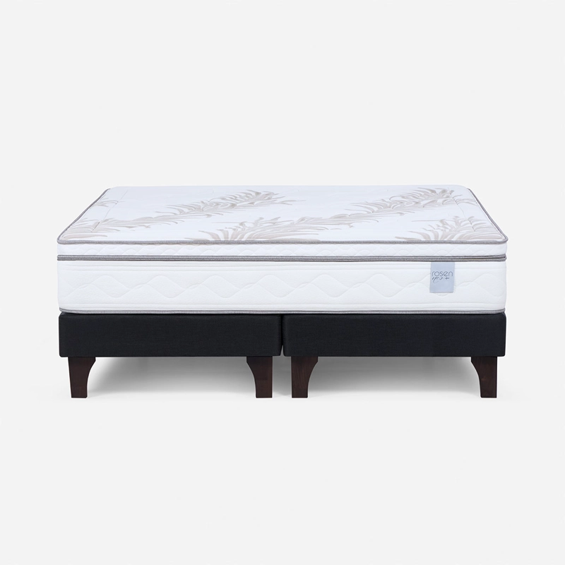 CAMA EUROPEA ROSEN NEO PLUS KING - 1