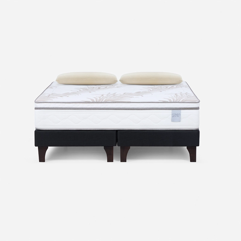 CAMA EUROPEA ROSEN NEO PLUS KING + 2 ALMOHADAS ESENCIAL - 1