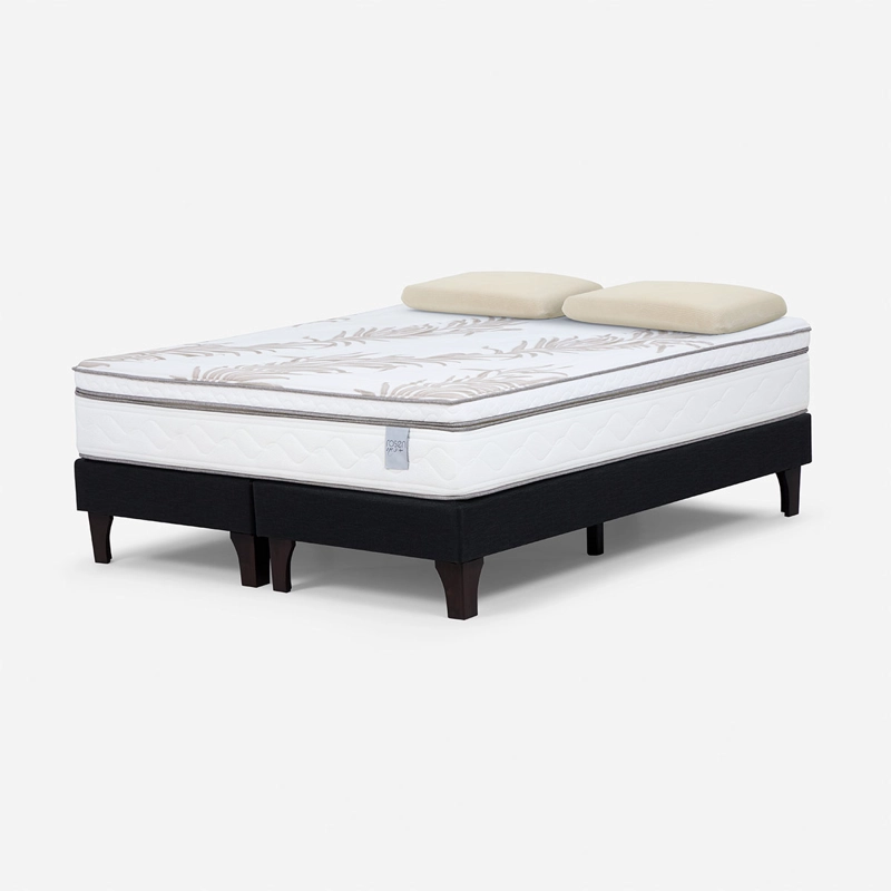 CAMA EUROPEA ROSEN NEO PLUS KING + 2 ALMOHADAS ESENCIAL - 2