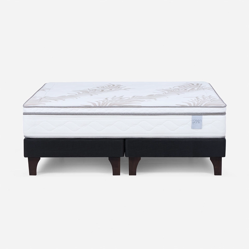 CAMA EUROPEA ROSEN NEO PLUS SÚPER KING - 1