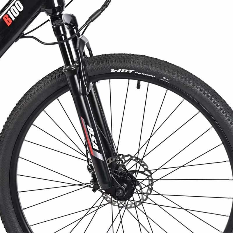 BICICLETA BIANCHI B-100 29" SX PLATA / NEGRO Negro, foto 4