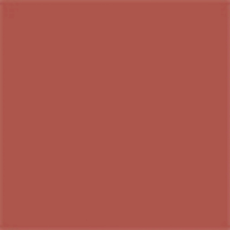 LABIAL DIOR ON STAGE INK BLUR MATTE NUDE LOOK 6ML - 12
