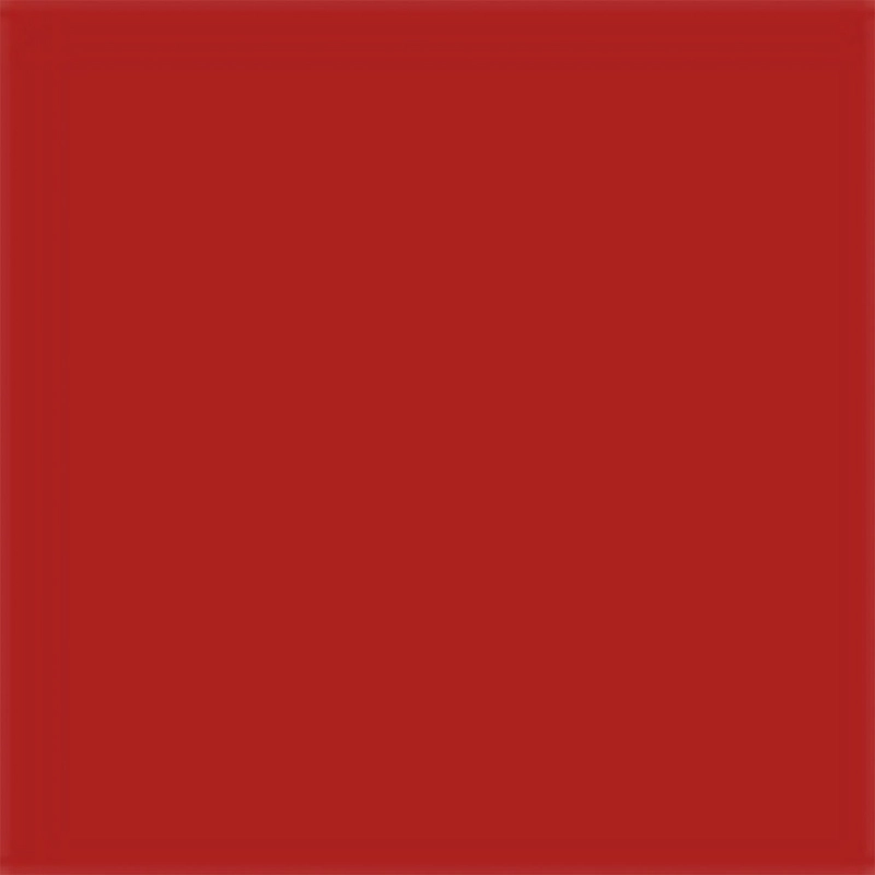 LABIAL DIOR ON STAGE INK BLUR MATTE BOLD IN RED 6ML - 12