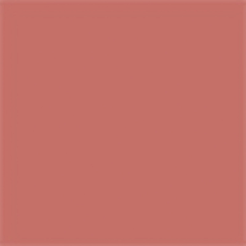 LABIAL DIOR ON STAGE PASSIONATE BEIGE 2GR - 10