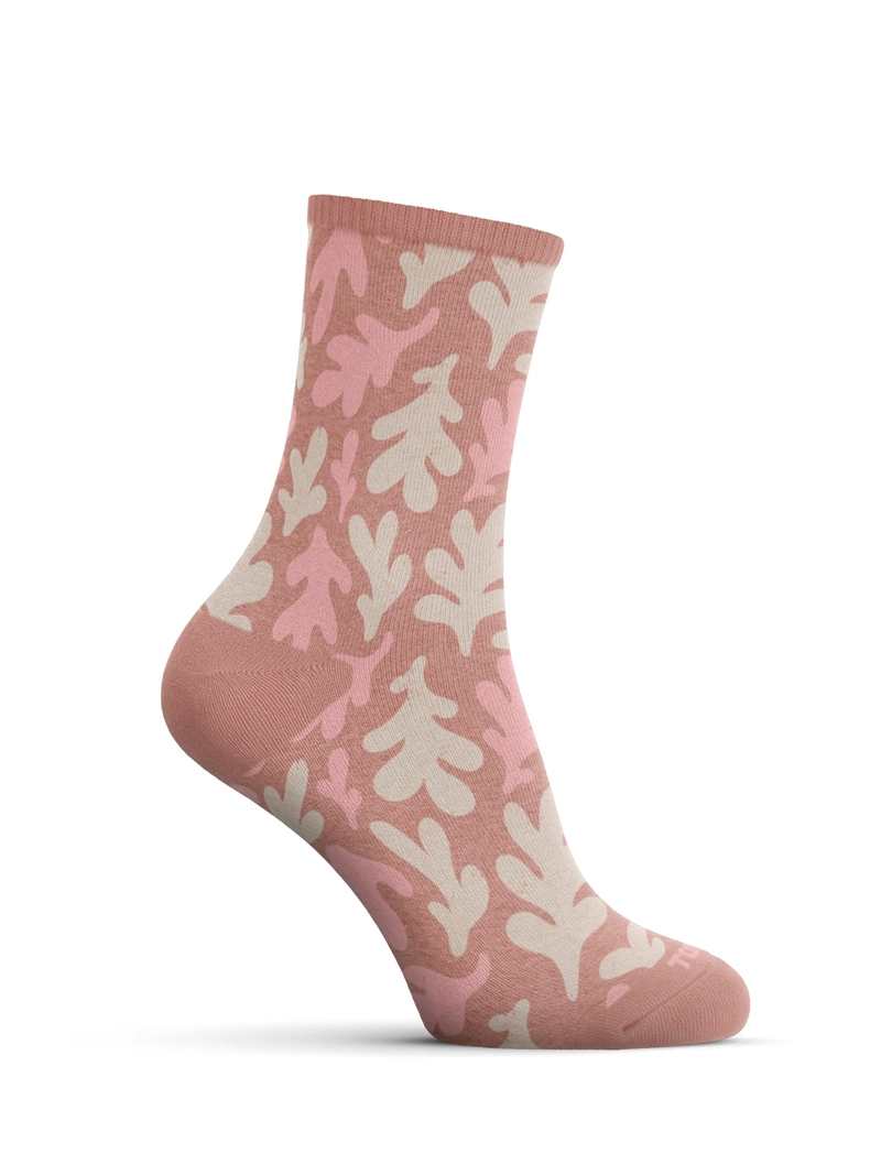 PACK X5 CALCETINES MUJER TOP ALGODÓN  - 4