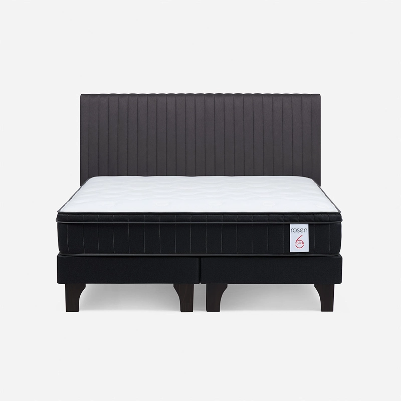 CAMA EUROPEA ROSEN NEW STYLE 6 PLUS KING + RESPALDO LUCIO