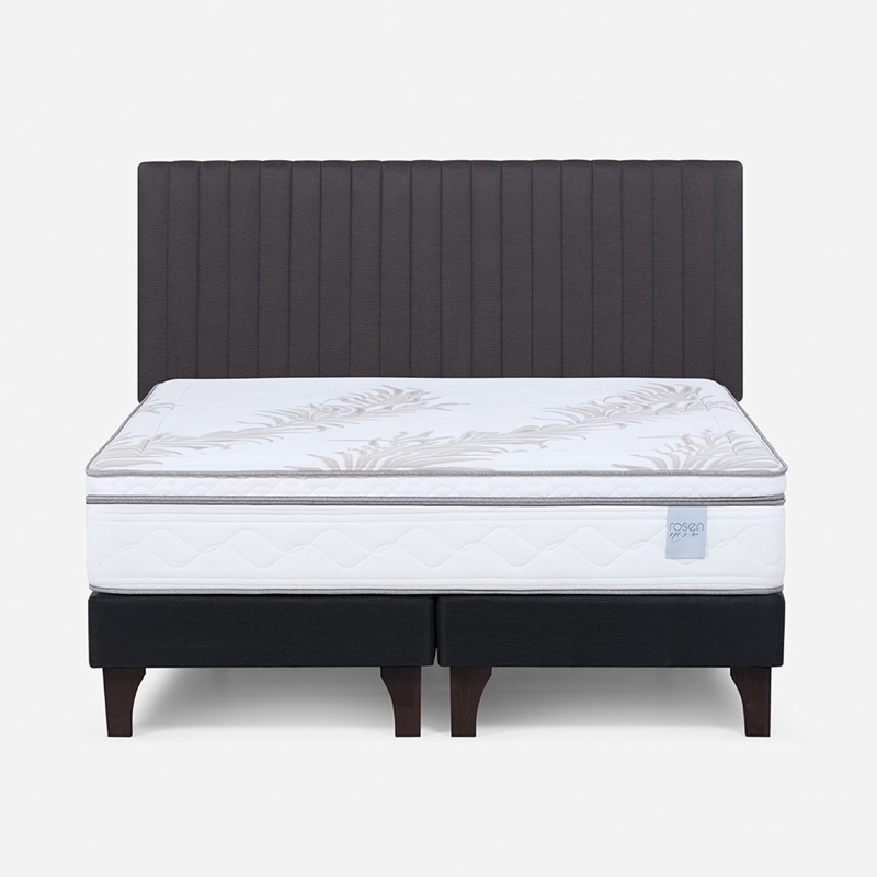 CAMA EUROPEA ROSEN NEO PLUS 2 PLAZAS + RESPALDO LUCIO - 1
