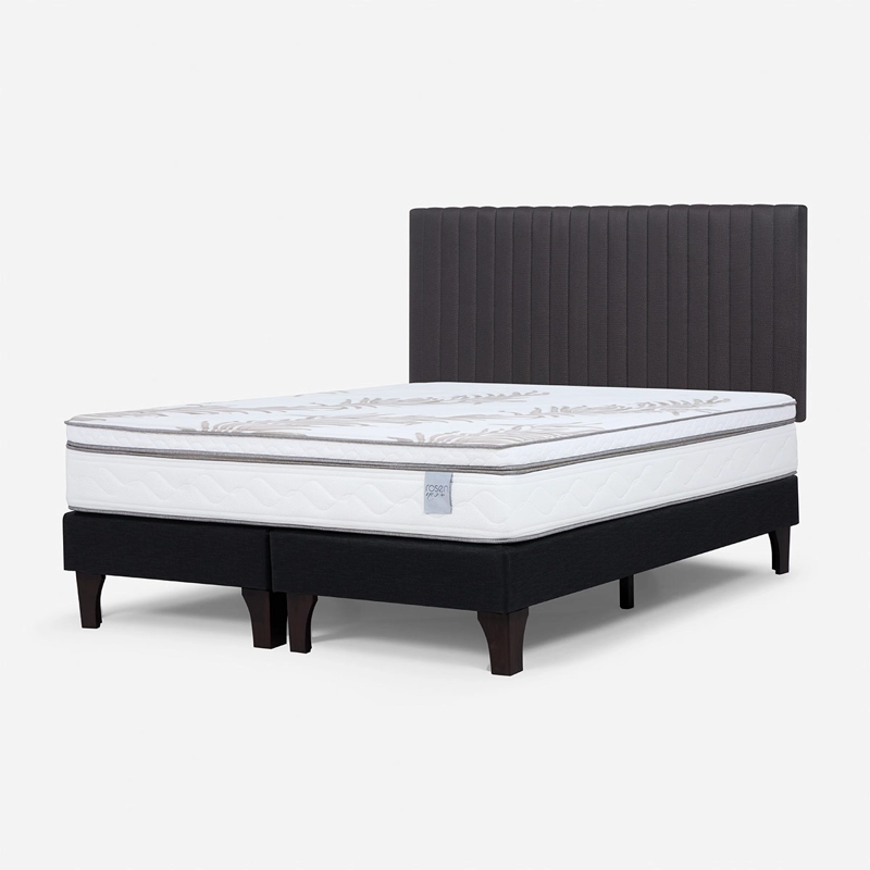 CAMA EUROPEA ROSEN NEO PLUS 2 PLAZAS + RESPALDO LUCIO - 2