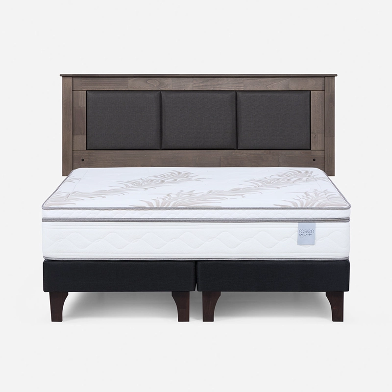 CAMA EUROPEA ROSEN NEO PLUS 2 PLAZAS + RESPALDO RACHEL - 1