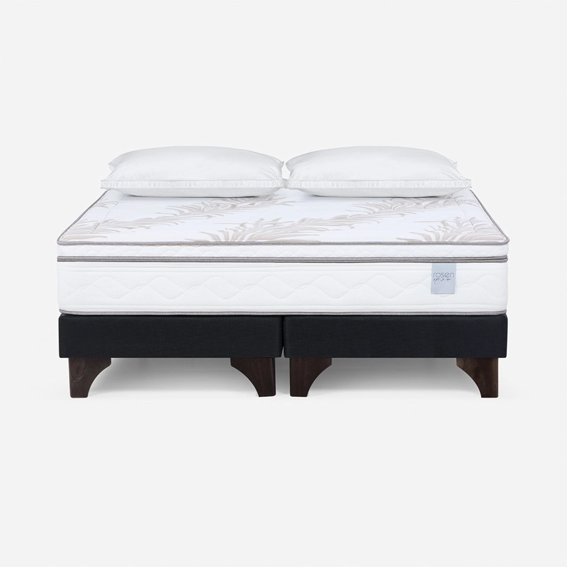 CAMA EUROPEA ROSEN NEO PLUS KING + 2 ALMOHADAS FEEL MICROFIBRA