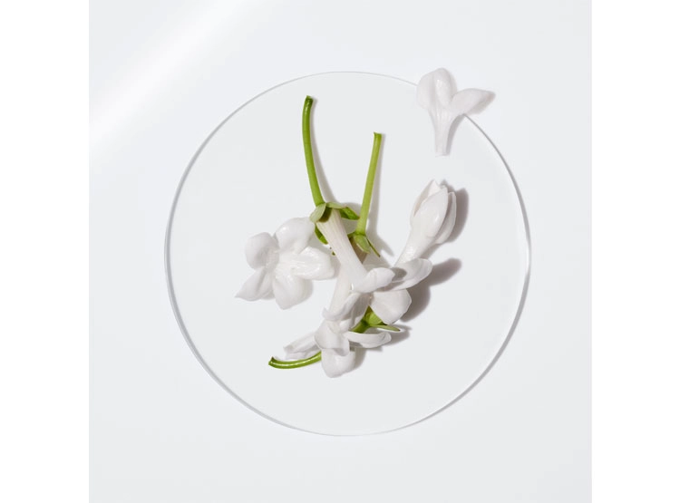 PERFUME CLINIQUE HAPPY 100 ML - 7